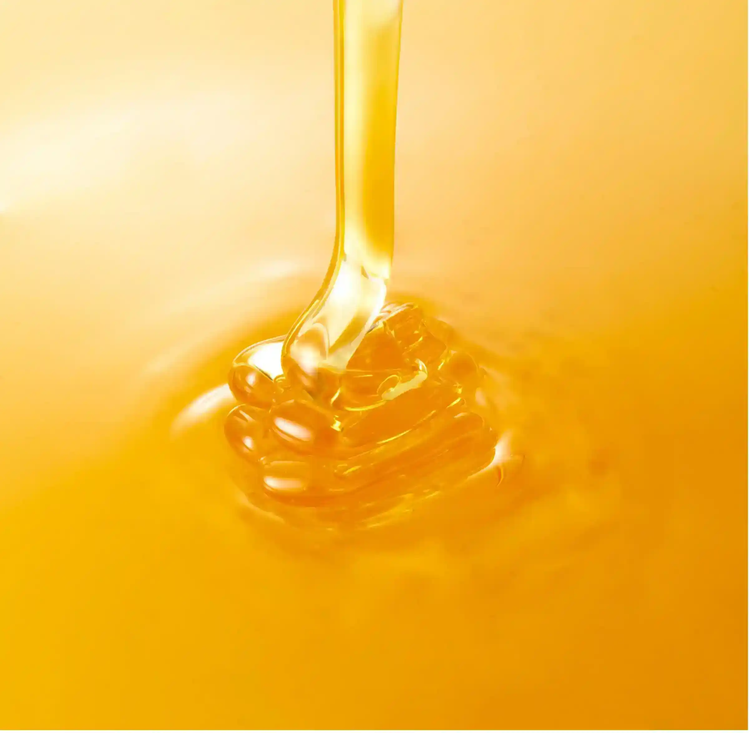 Honey bottle