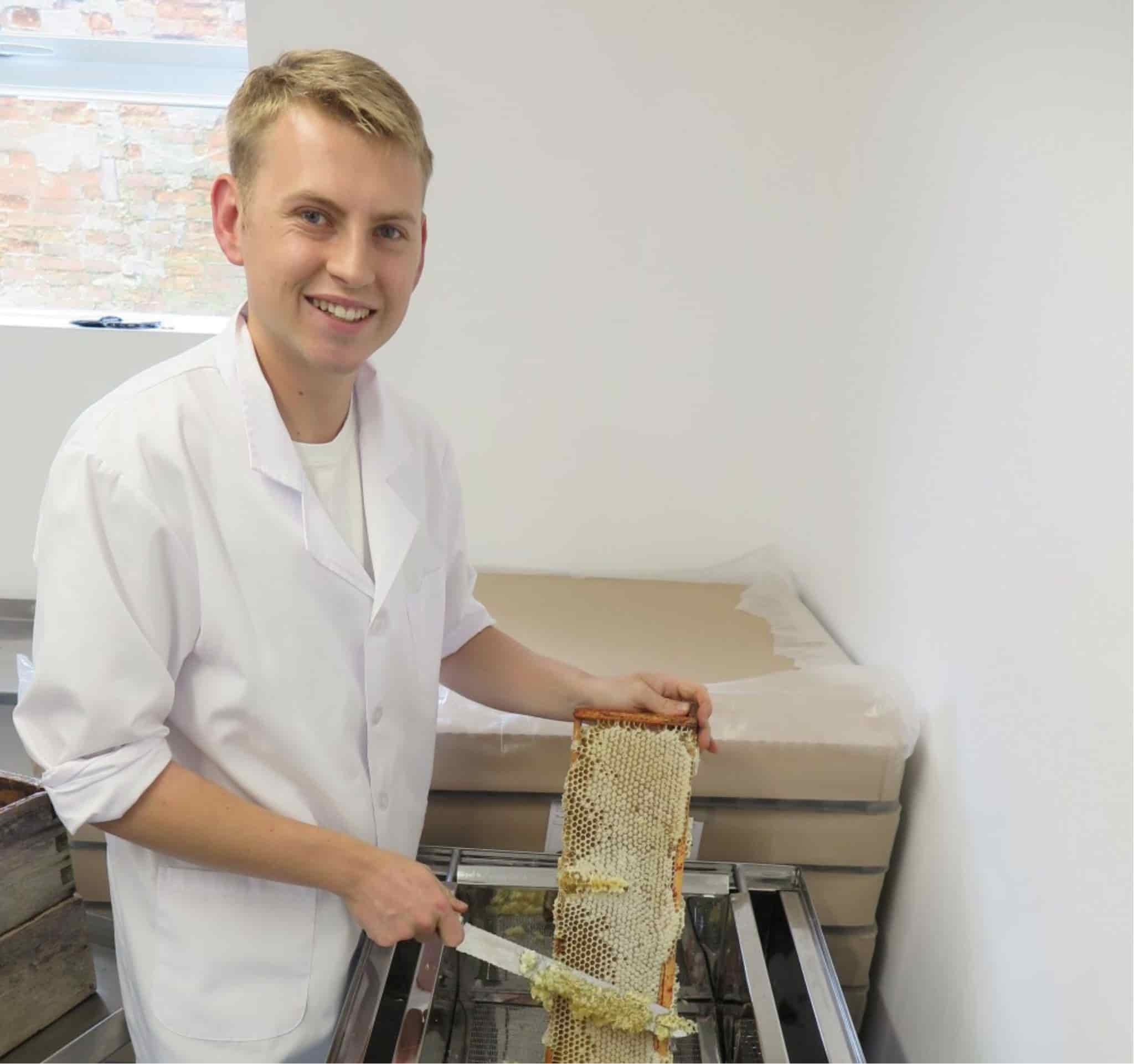Honey being harvested